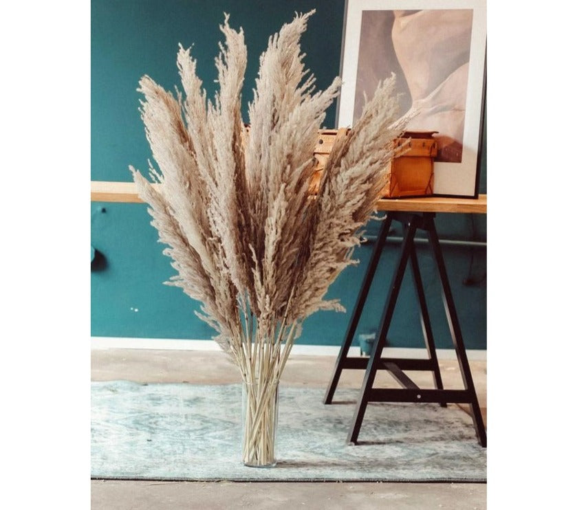 Natural-colored, graceful pampas grass